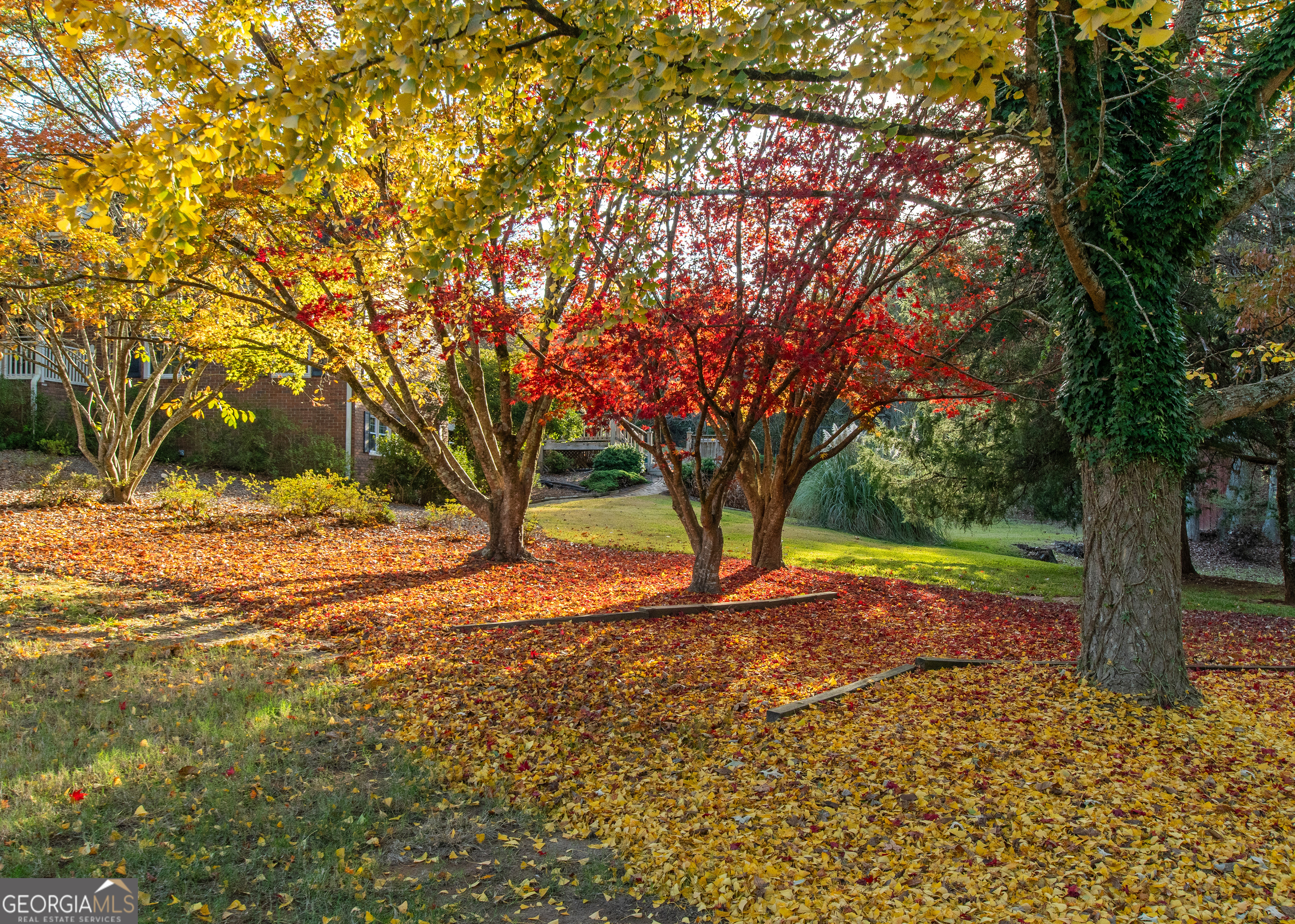 13819 Woolsey Road Hampton, GA 30228 - Photo 10 of 100 a view of yard with trees
