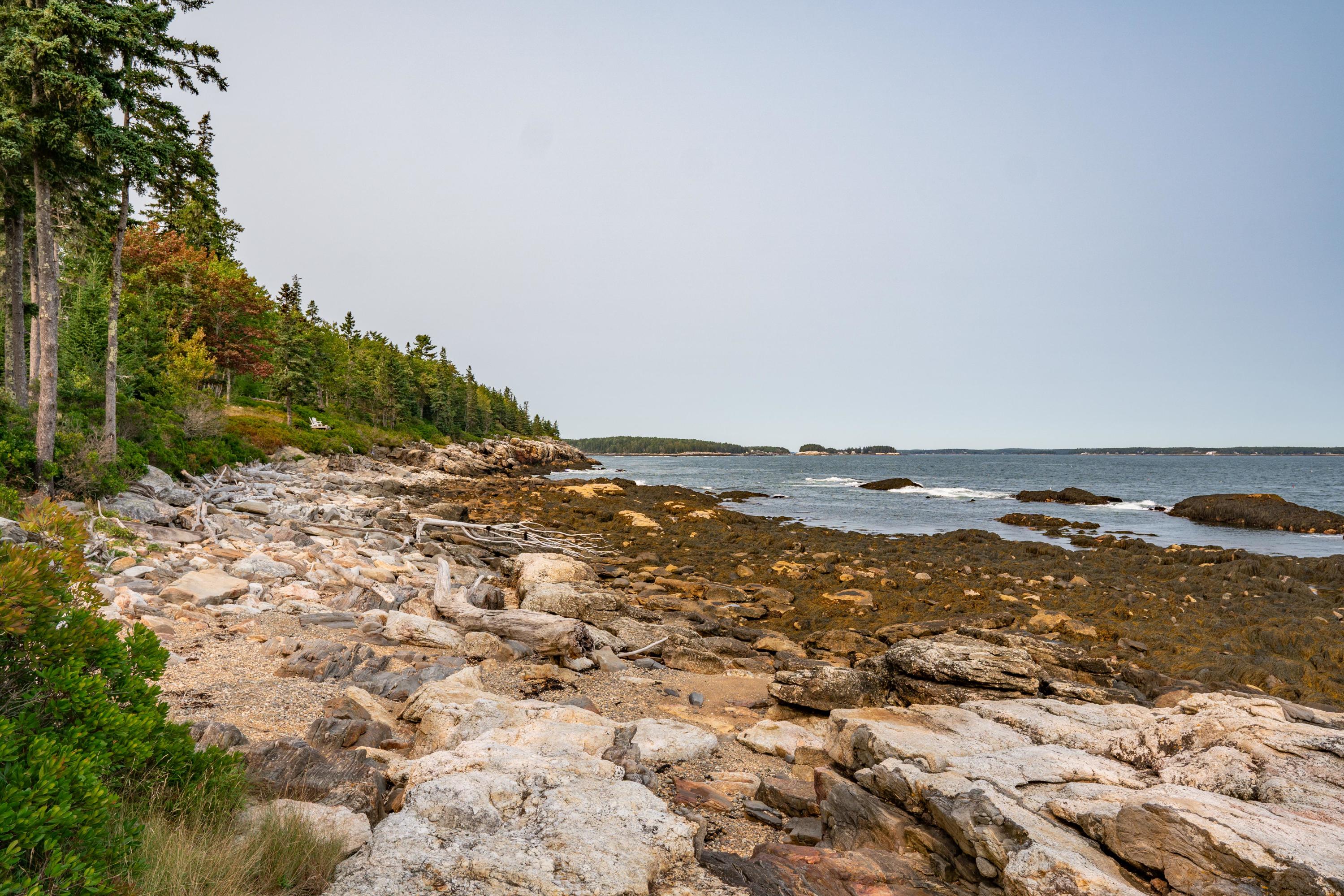 372 Seguinland Road Georgetown, ME 04548 - Photo 15 of 105 372 Seguinland View 008