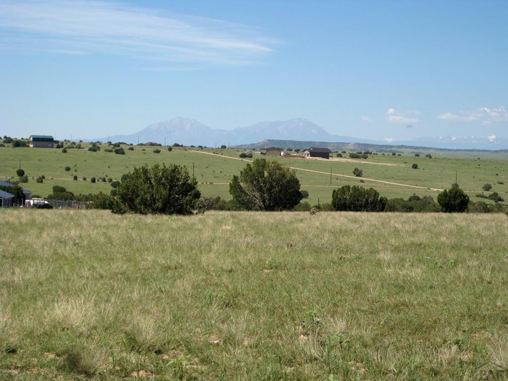 68 Willow Spring Drive Rye, CO 81069 - Photo 22 of 28 Gallery Image 22