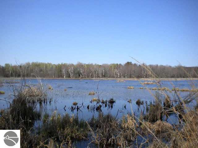 786 Laird Lake Road Hale, MI 48739 - Photo 2 of 12 1752175-1.JPG