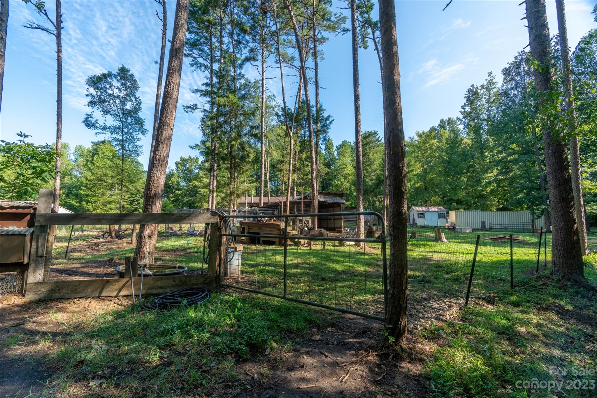 240 River Country Road Salisbury, NC 28146 - Photo 34 of 48 a view of a park with large trees