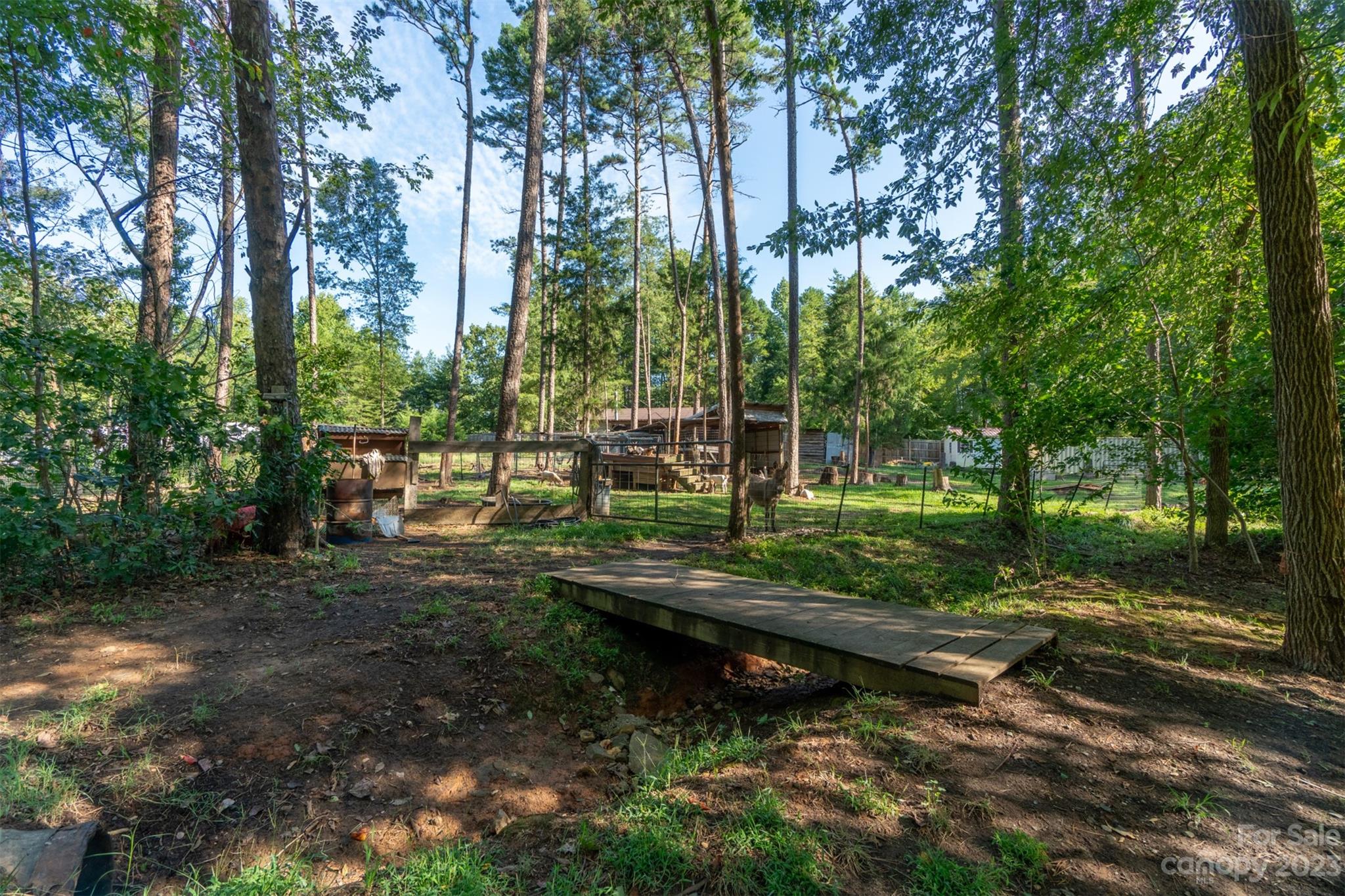 240 River Country Road Salisbury, NC 28146 - Photo 35 of 48 a view of a park with large trees