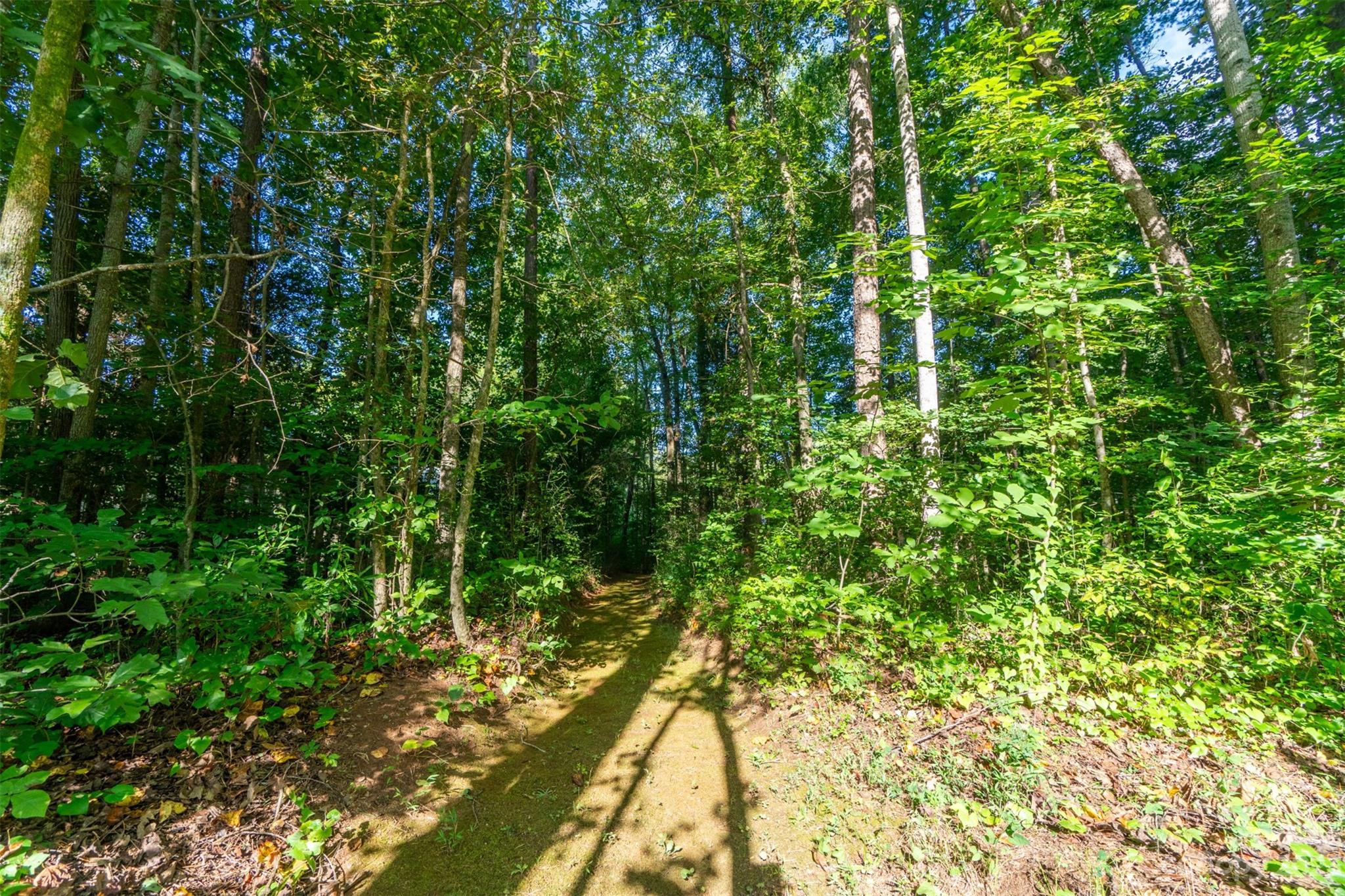 240 River Country Road Salisbury, NC 28146 - Photo 37 of 48 a view of a yard