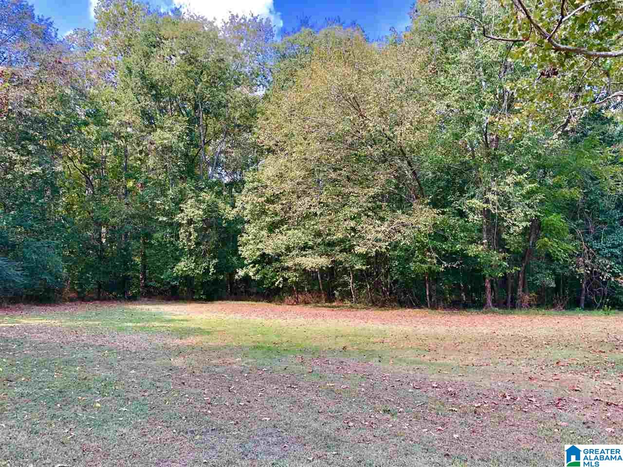 300 Beaver Ridge Drive Ashville, AL 35953 - Photo 19 of 20