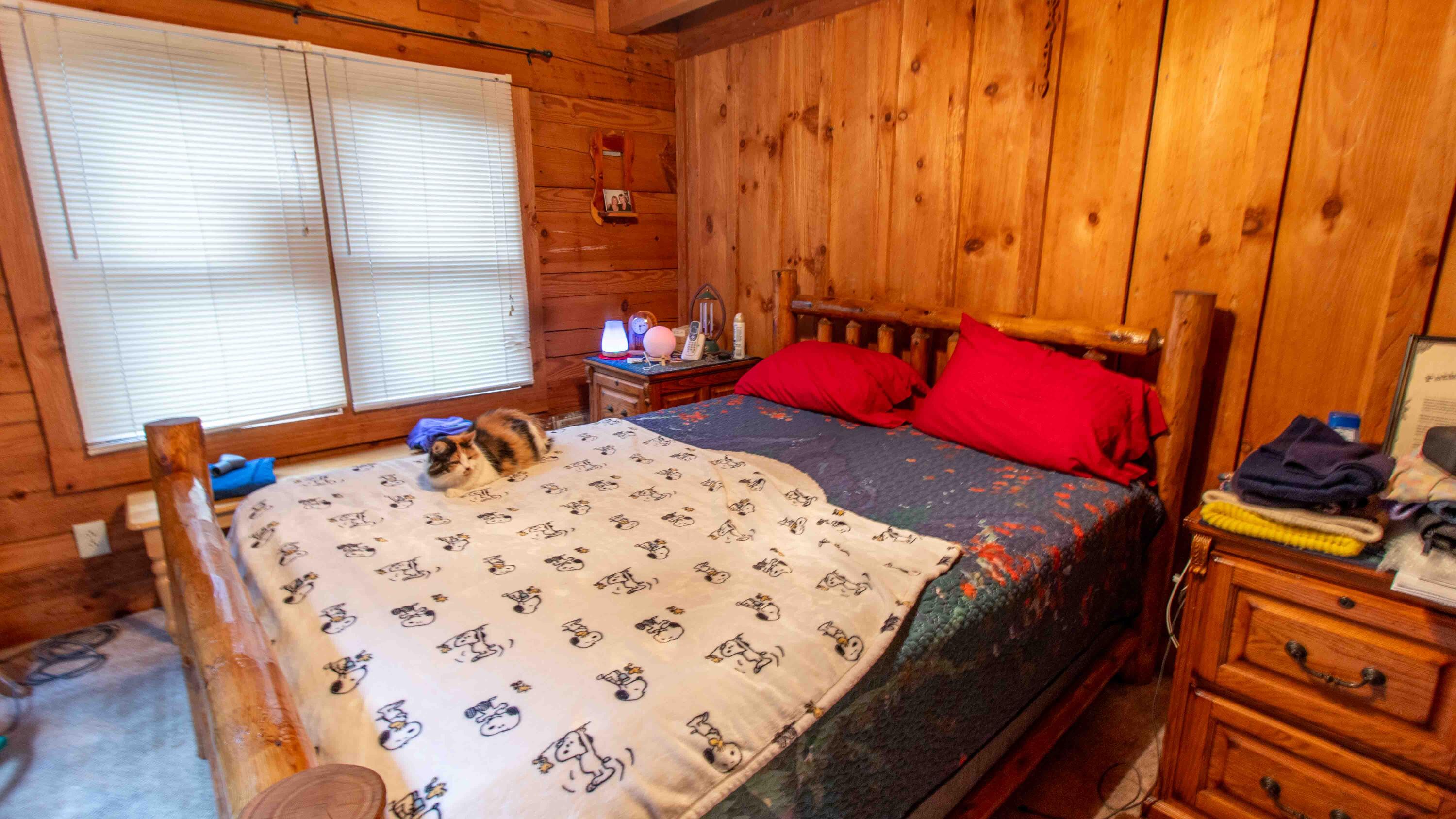 4301 Van Hill Road Greeneville, TN 37745 - Photo 18 of 30 Main Floor Bedroom 1