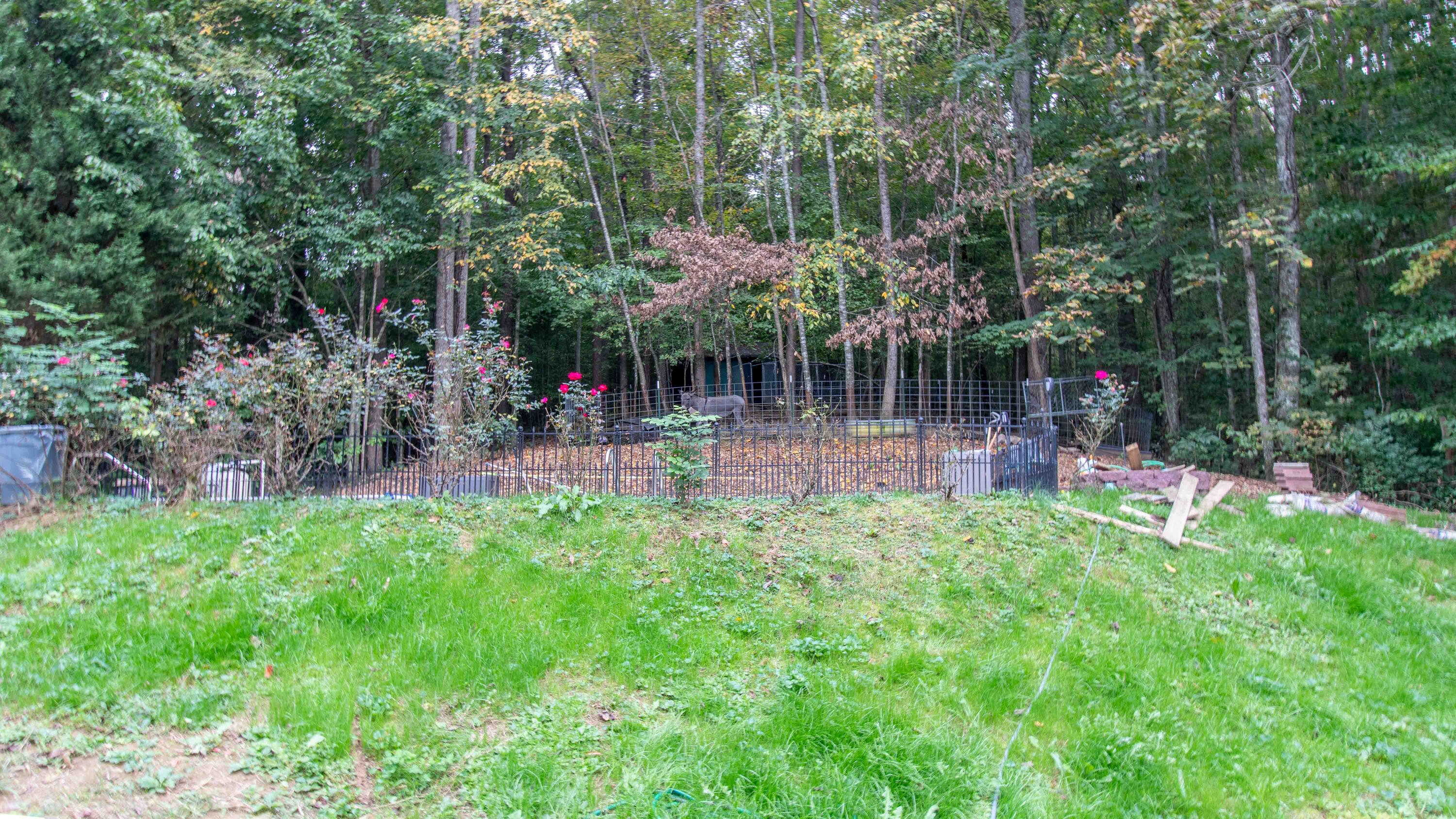 4301 Van Hill Road Greeneville, TN 37745 - Photo 8 of 30 Yard