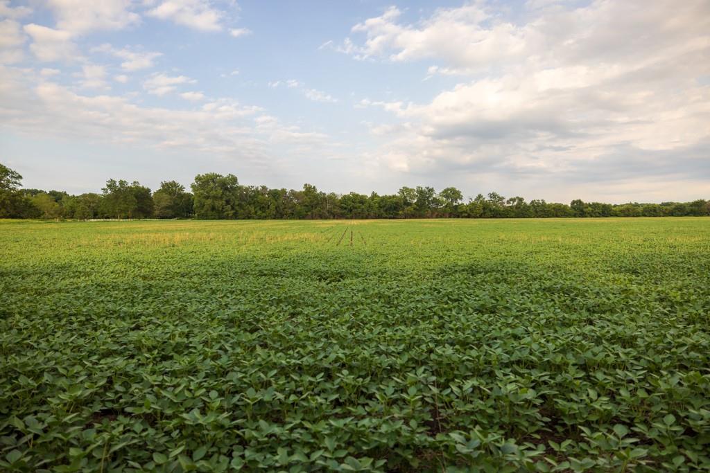 Tbd Northeast 500th Road Warrensburg, MO 64093 - Photo 28 of 40