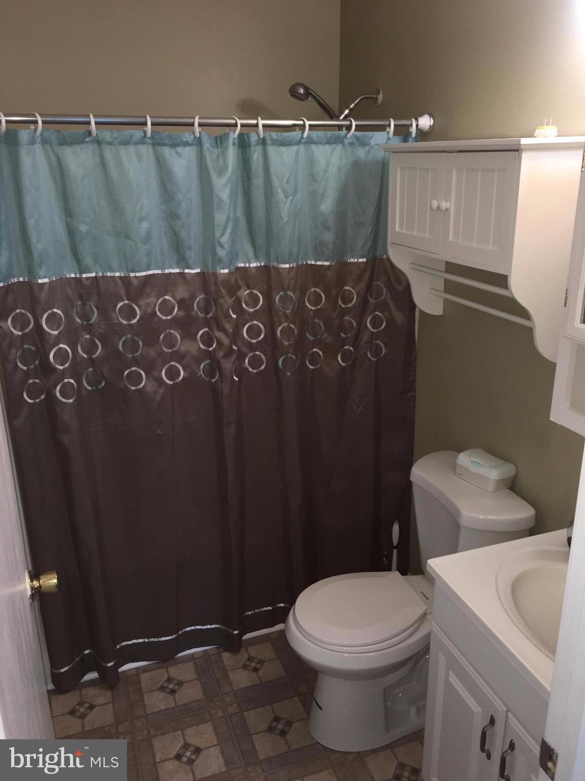 8679 Ridge Road Ellicott City, MD 21043 - Photo 14 of 21 Master bath