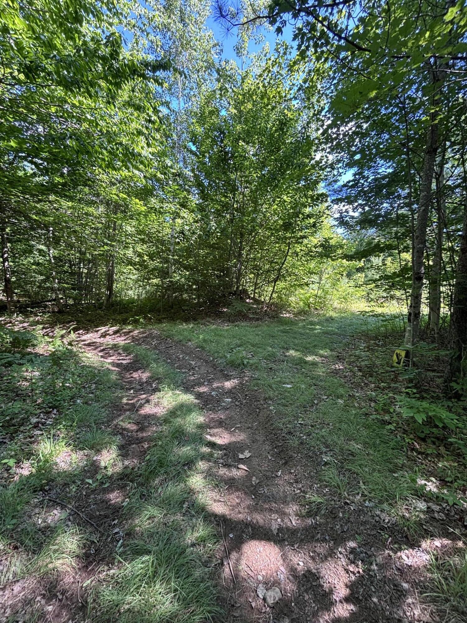 Lot #22 Streaked Mountain Road Buckfield, ME 04220 - Photo 10 of 14 image3 (1)