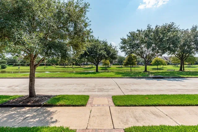 a view of park with large trees
