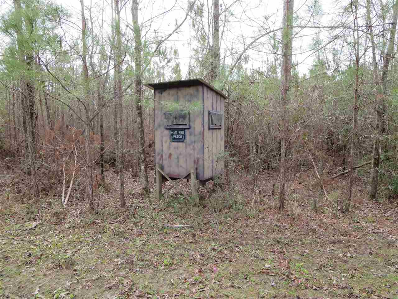 3061 Sardis Road Hazlehurst, MS 39083 - Photo 11 of 29 Photo 12