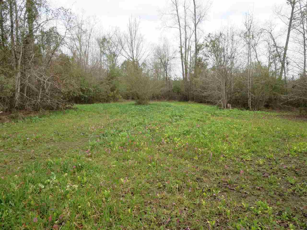 3061 Sardis Road Hazlehurst, MS 39083 - Photo 12 of 29 Photo 13