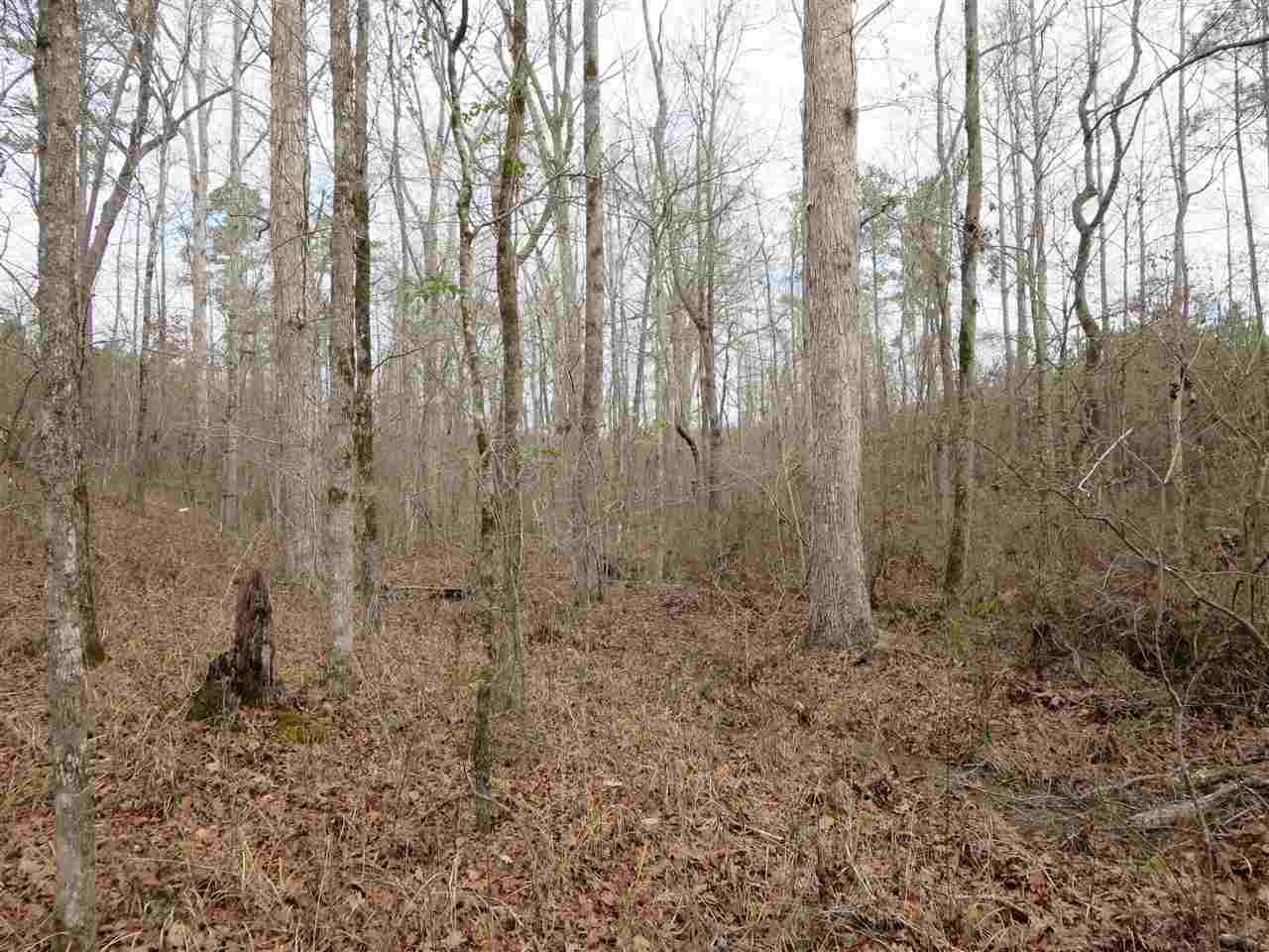 3061 Sardis Road Hazlehurst, MS 39083 - Photo 13 of 29 Photo 14