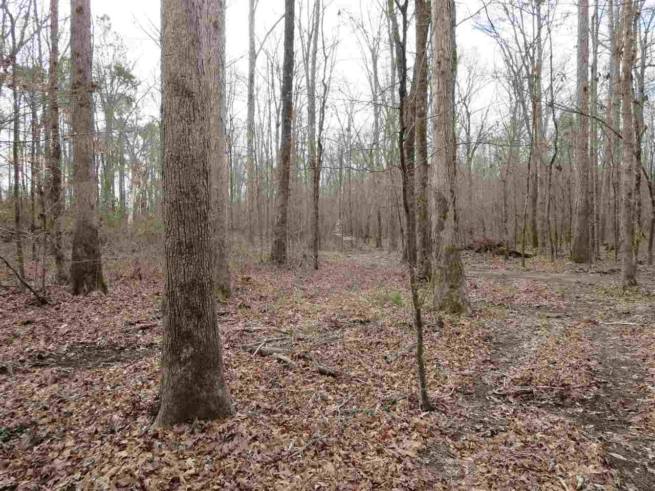 3061 Sardis Road Hazlehurst, MS 39083 - Photo 14 of 29 Photo 15
