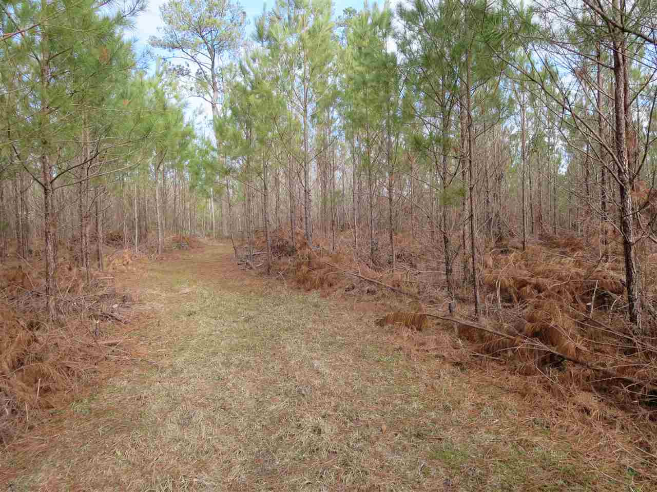 3061 Sardis Road Hazlehurst, MS 39083 - Photo 16 of 29 Photo 17