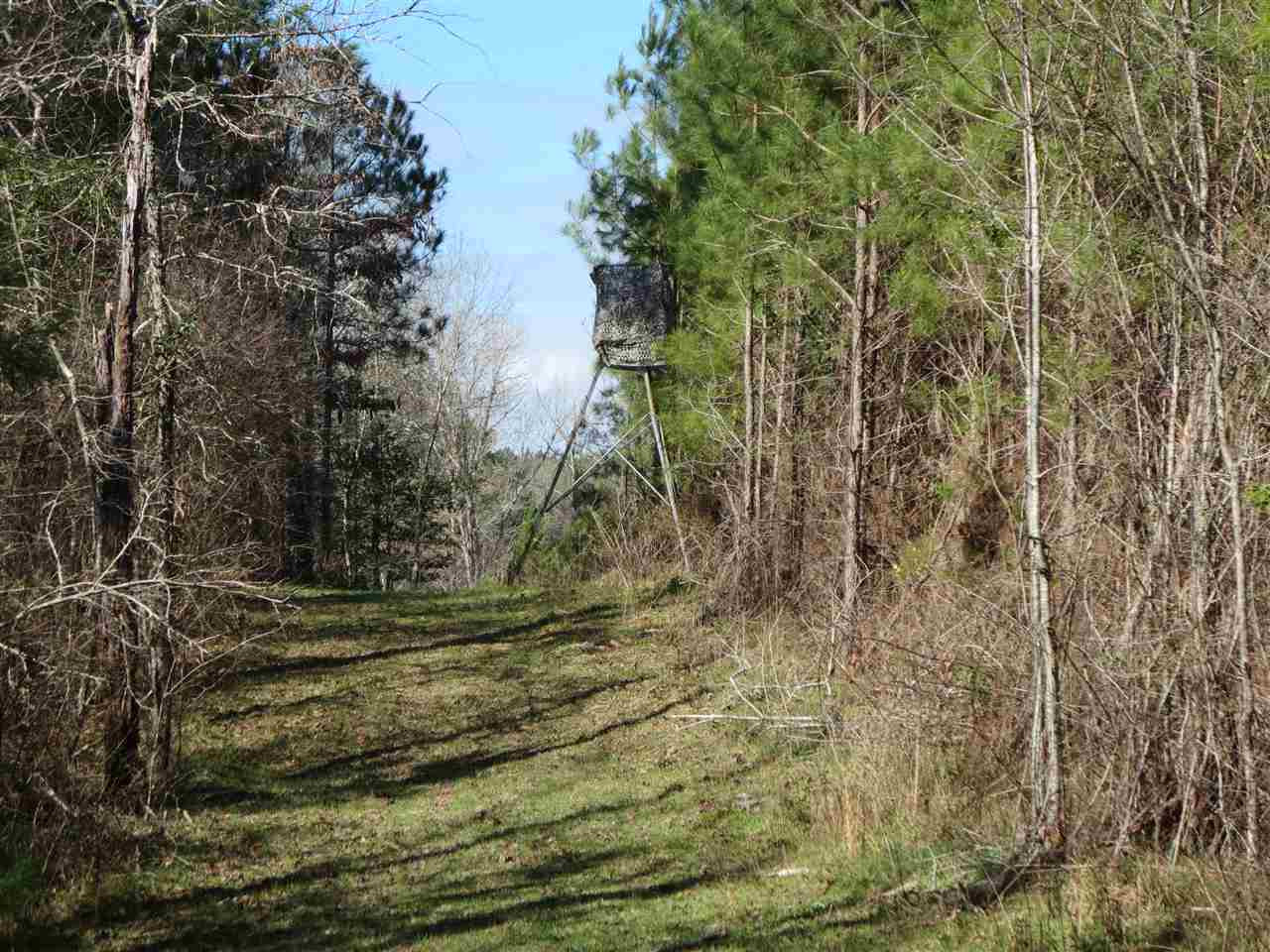 3061 Sardis Road Hazlehurst, MS 39083 - Photo 20 of 29 Photo 21
