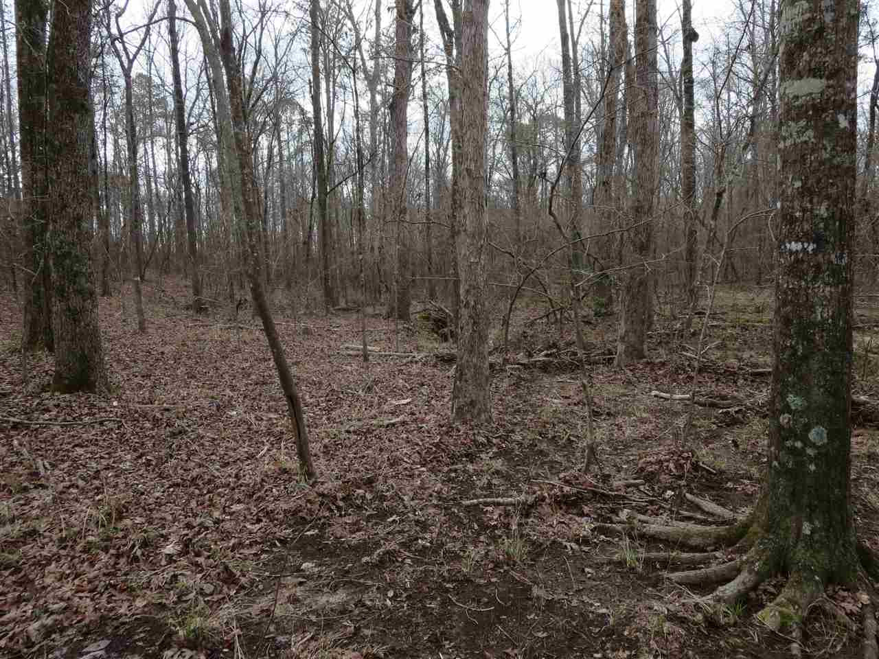 3061 Sardis Road Hazlehurst, MS 39083 - Photo 5 of 29 Photo 5