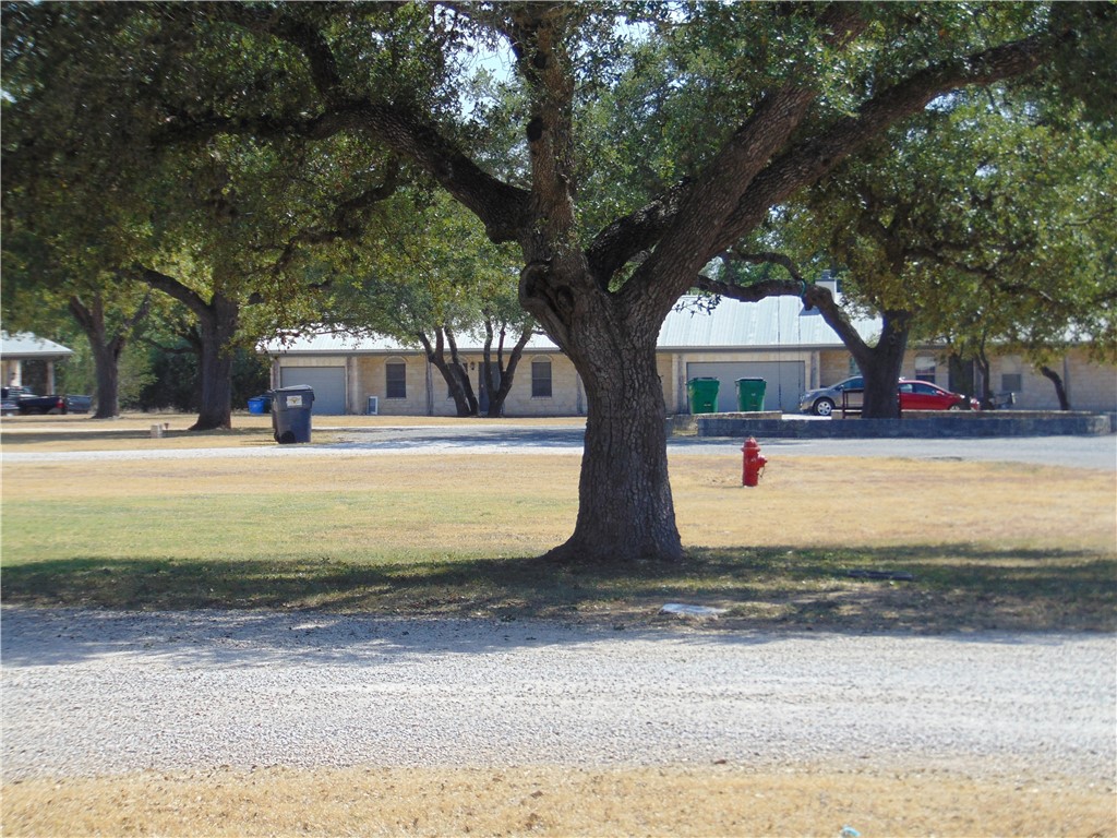 130-A/B Chestnut Ridge, Unit B Dripping Springs, TX 78620 - Photo 1 of 1 a view of street with trees