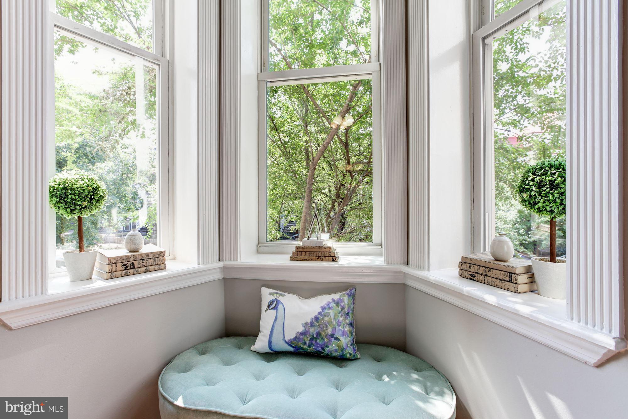 53 R Street Northwest Washington, DC 20001 - Photo 6 of 30 Bay window in living room