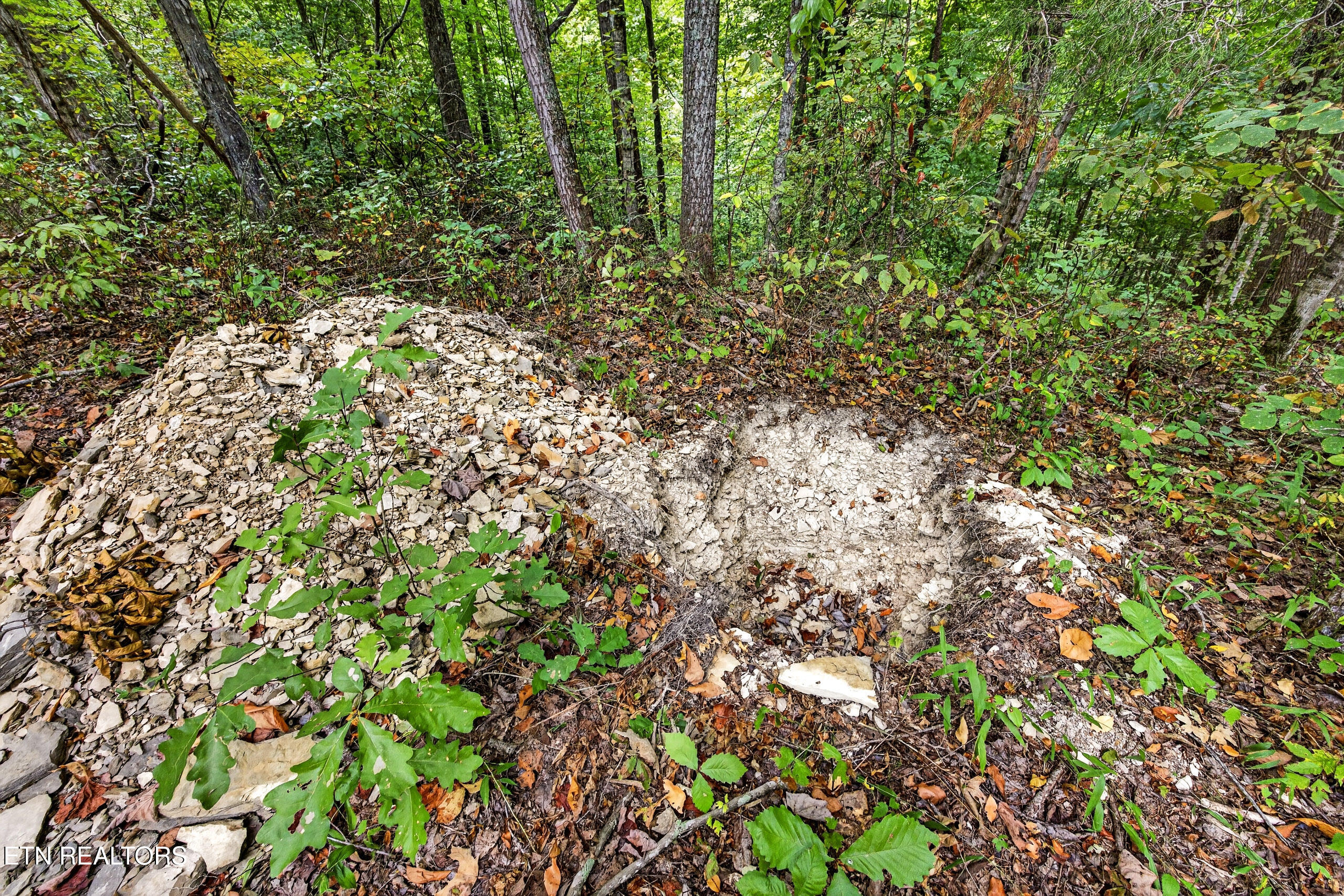 Lot 32 Timber Ridge Lane Celina, TN 38551 - Photo 8 of 15 7-8N5A6534