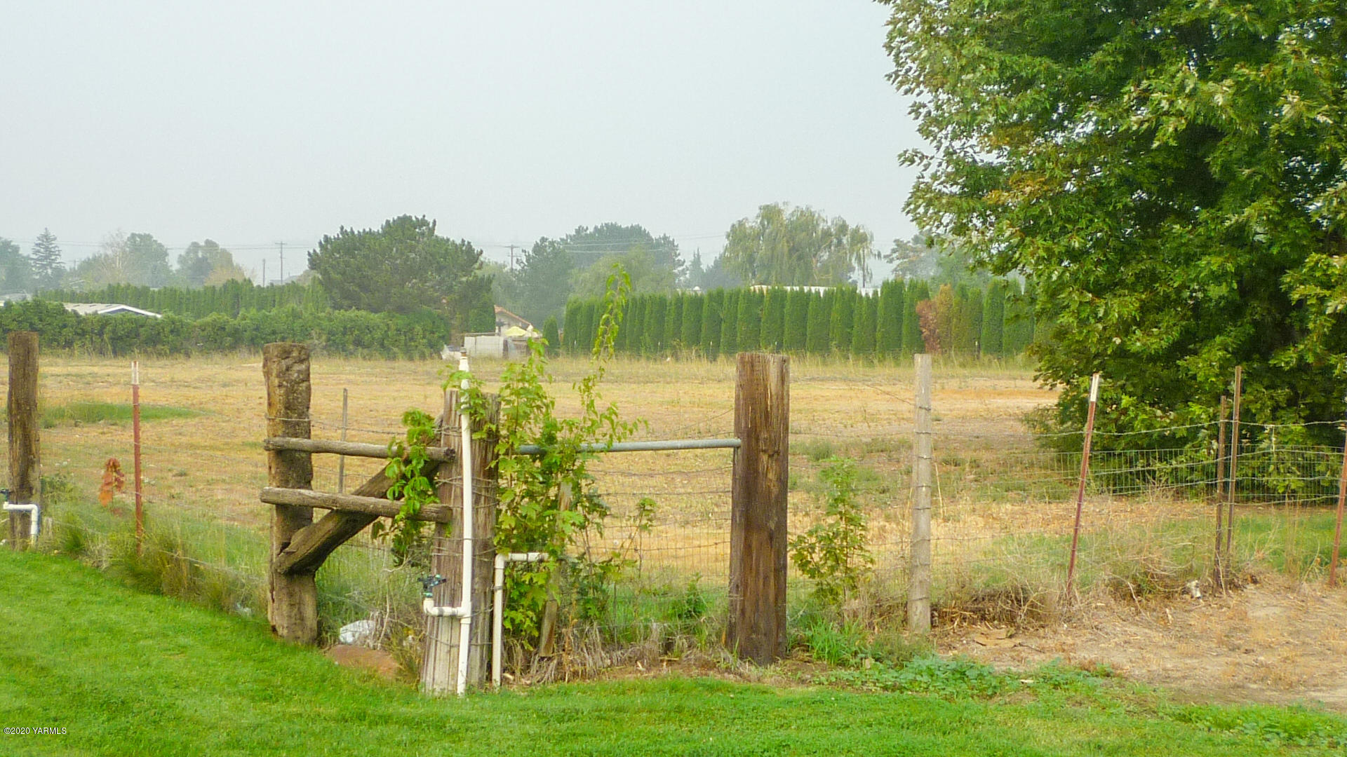 928 Thornton Road Sunnyside, WA 98944 - Photo 22 of 24 Yard