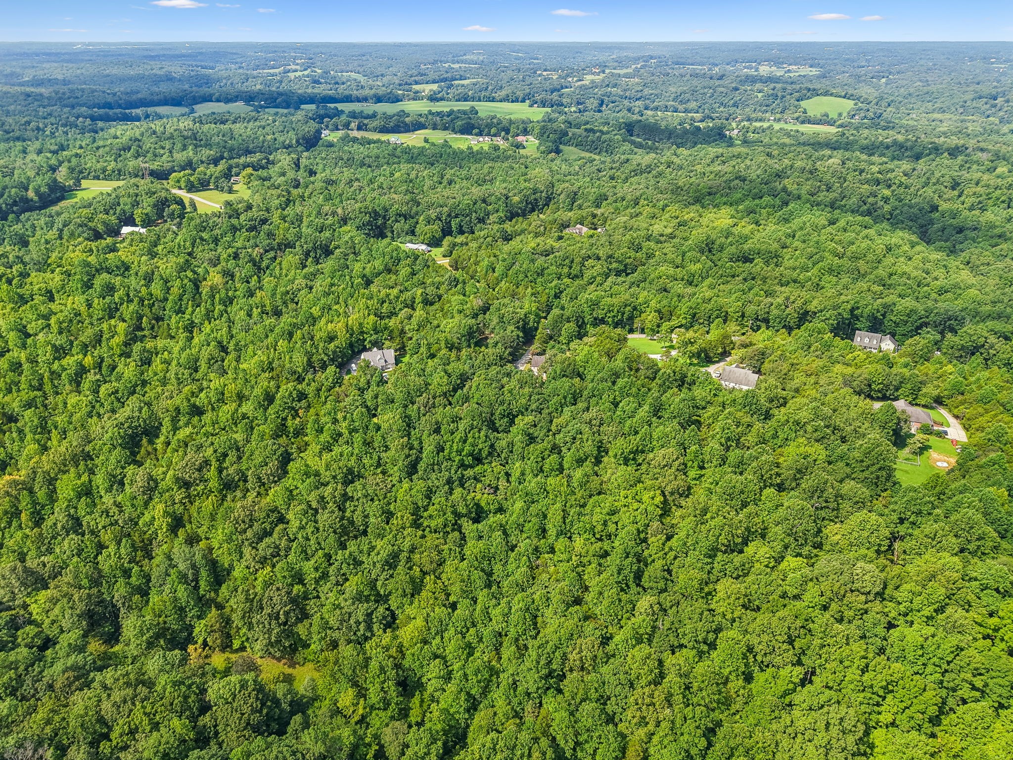1200 Dawson Road White Bluff, TN 37187 - Photo 4 of 91 Gallery Image 4