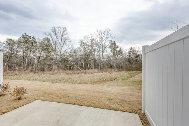 a view of a dry yard with trees