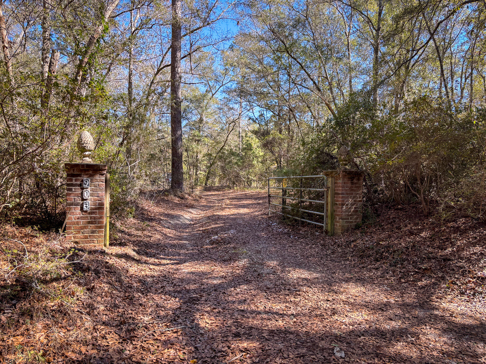 903 Harts Bluff Road Wadmalaw Island, SC 29487 - Photo 1 of 5 IMG_1264-3