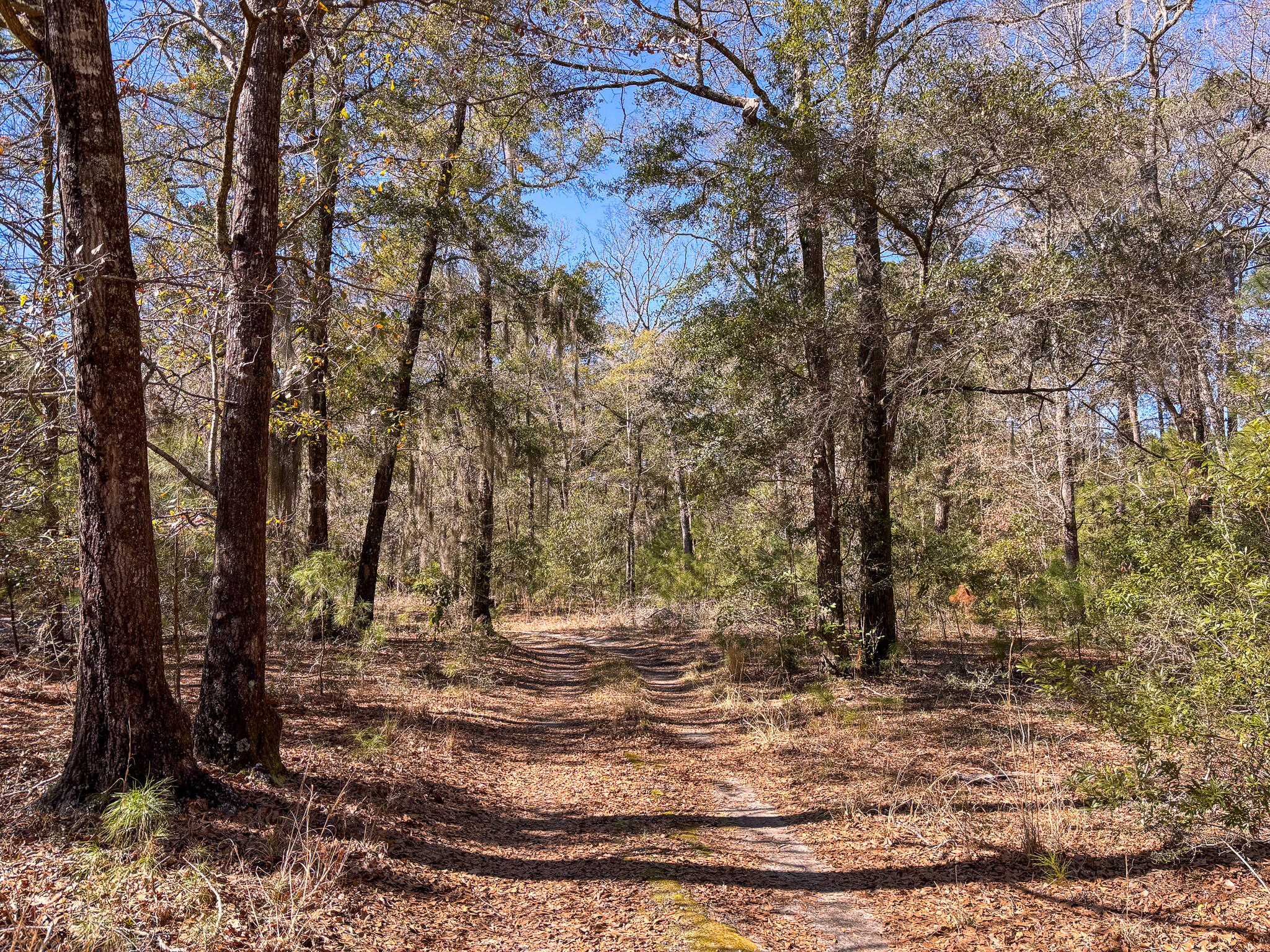 903 Harts Bluff Road Wadmalaw Island, SC 29487 - Photo 5 of 5 IMG_1270-2