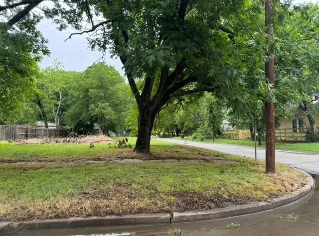 a view of backyard with green space