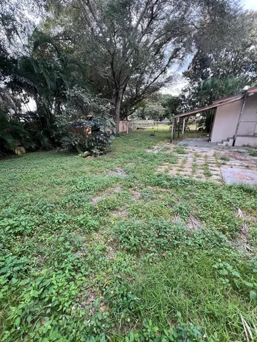 a view of a park with large trees