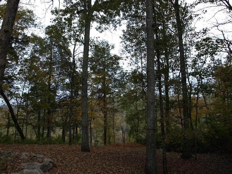 1518 Wildcat Road Lawrenceburg, KY 40342 - Photo 22 of 24 Photo 22