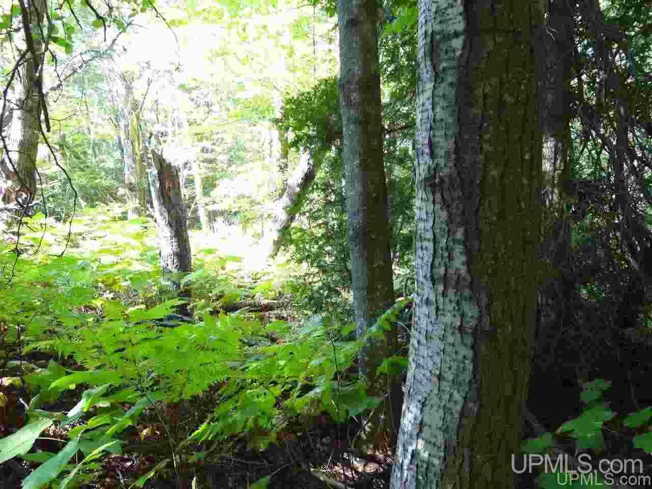 Tbd Freda Road Atlantic Mine, MI 49905 - Photo 6 of 17