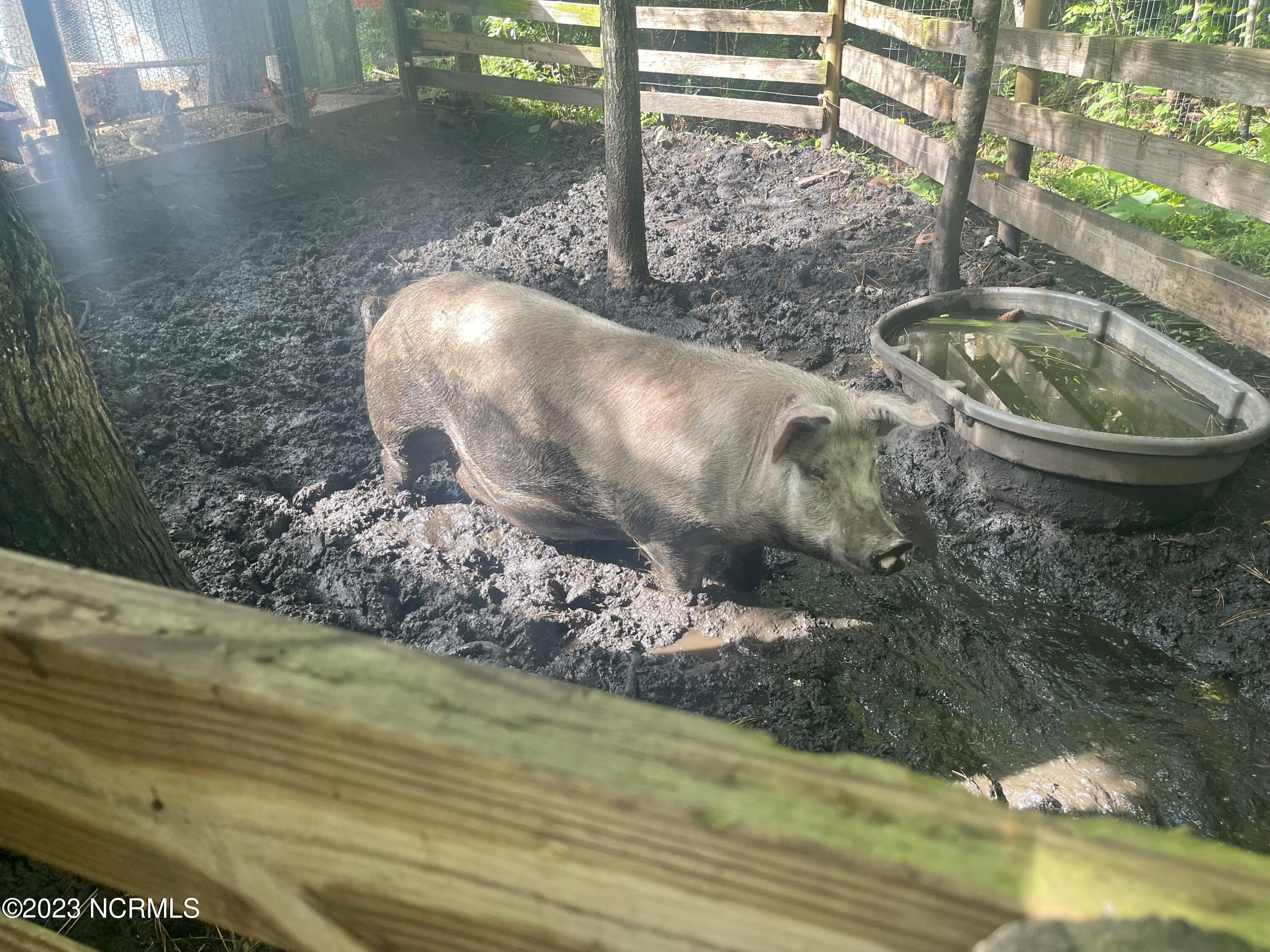 792 Roberts Road Newport, NC 28570 - Photo 27 of 52 Hog pen