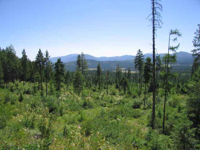 944 H Bentley Road Colville, WA 99114 - Photo 1 of 9 Gallery Image 1