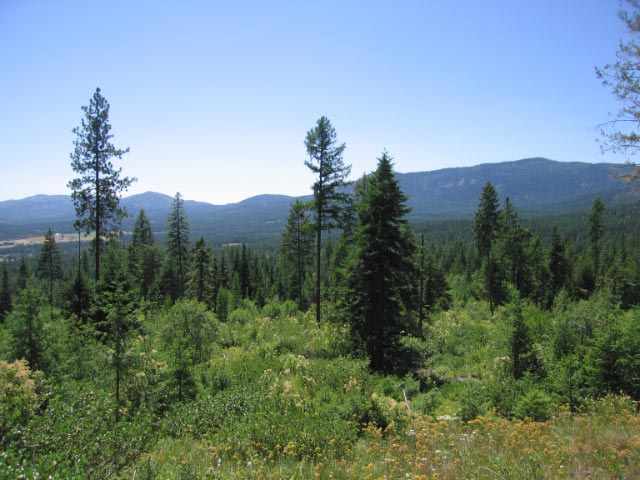 944 H Bentley Road Colville, WA 99114 - Photo 2 of 9 Gallery Image 2
