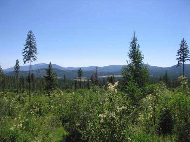 944 H Bentley Road Colville, WA 99114 - Photo 3 of 9 Gallery Image 3