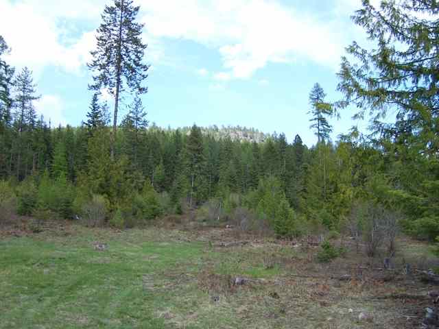 944 H Bentley Road Colville, WA 99114 - Photo 4 of 9 Gallery Image 4