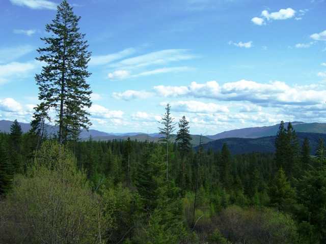 944 H Bentley Road Colville, WA 99114 - Photo 6 of 9 Gallery Image 6