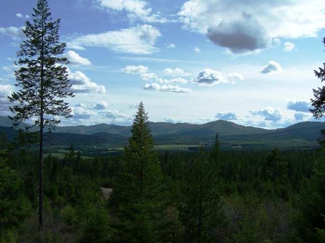 944 H Bentley Road Colville, WA 99114 - Photo 7 of 9 Gallery Image 7
