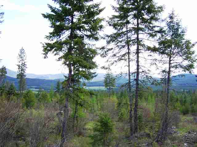 944 H Bentley Road Colville, WA 99114 - Photo 8 of 9 Gallery Image 8
