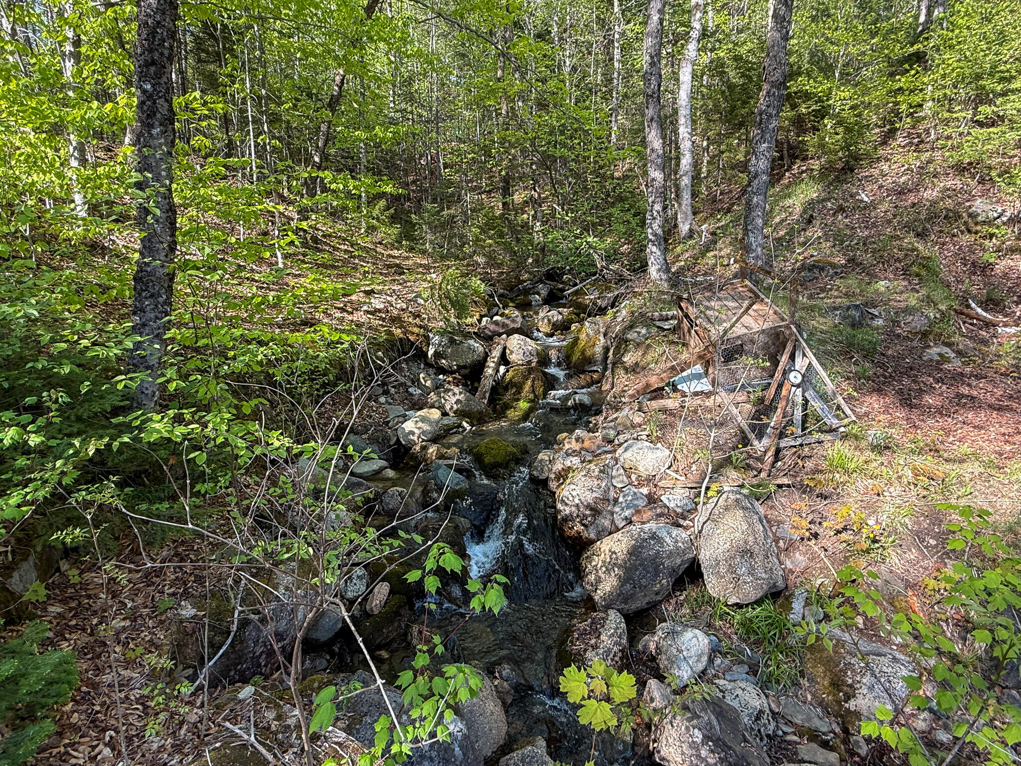 25 Buckfield Hill Road Roxbury, ME 04275 - Photo 4 of 17