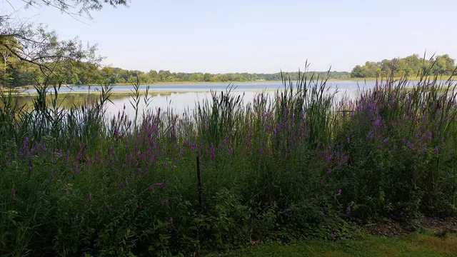 $699,000 | 58560 Indian Lake Road, Dowagiac, MI 49047