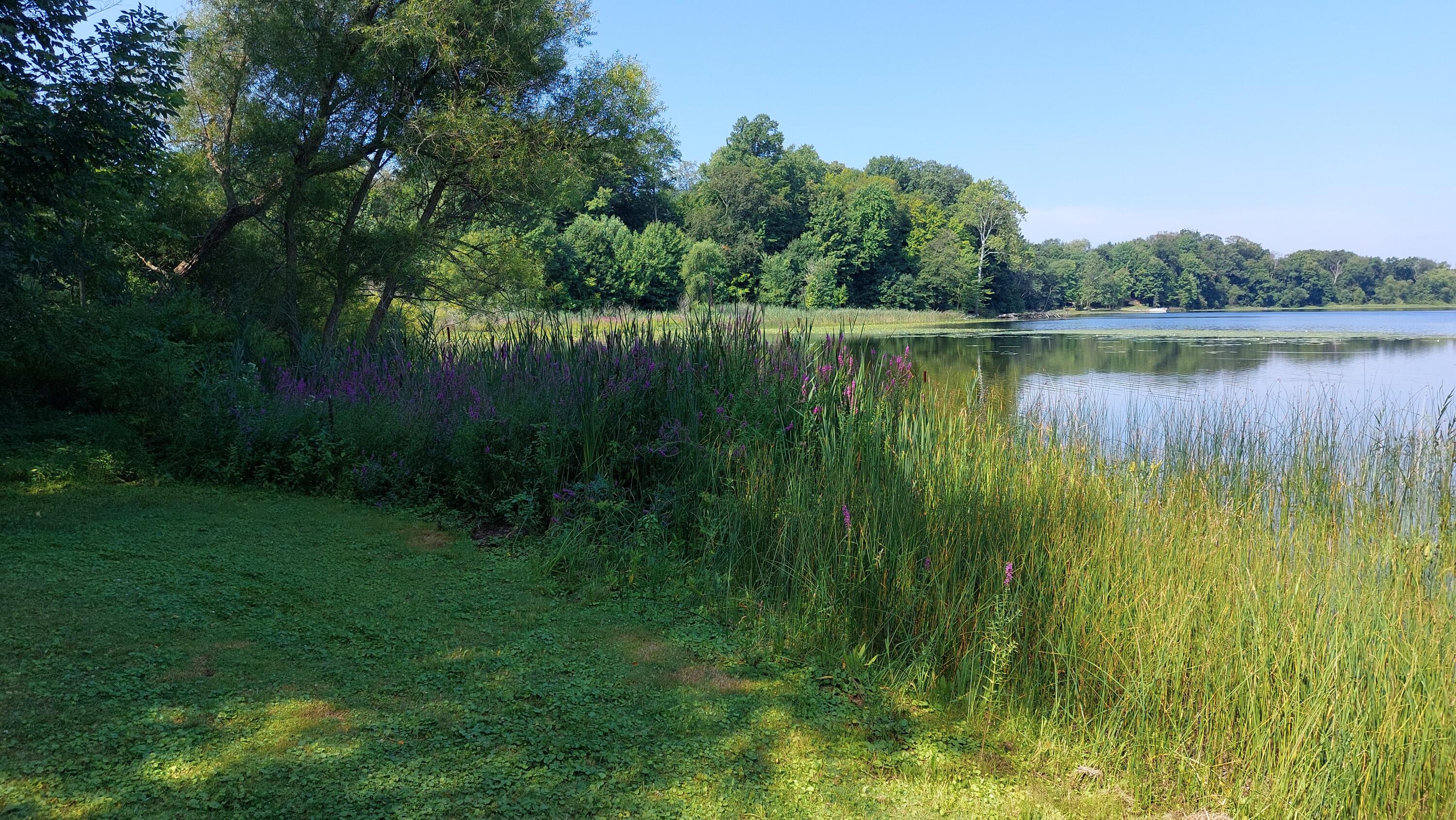 58560 Indian Lake Road Dowagiac, MI 49047 - Photo 112 of 129 20230808_111618