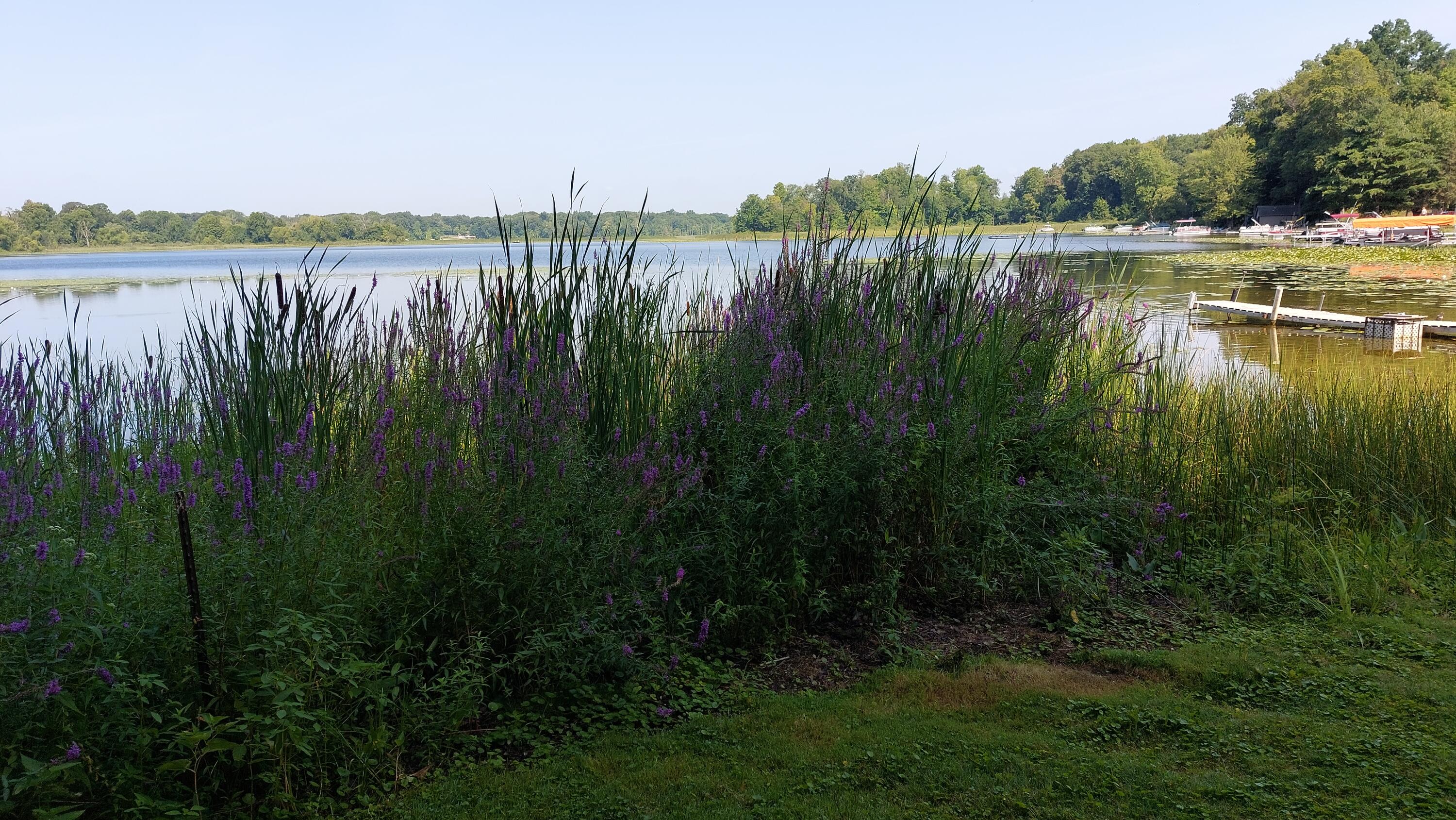 58560 Indian Lake Road Dowagiac, MI 49047 - Photo 114 of 129 20230808_111711