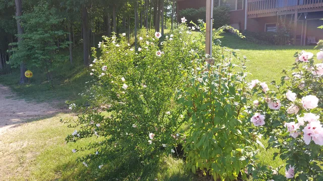 $699,000 | 58560 Indian Lake Road, Dowagiac, MI 49047