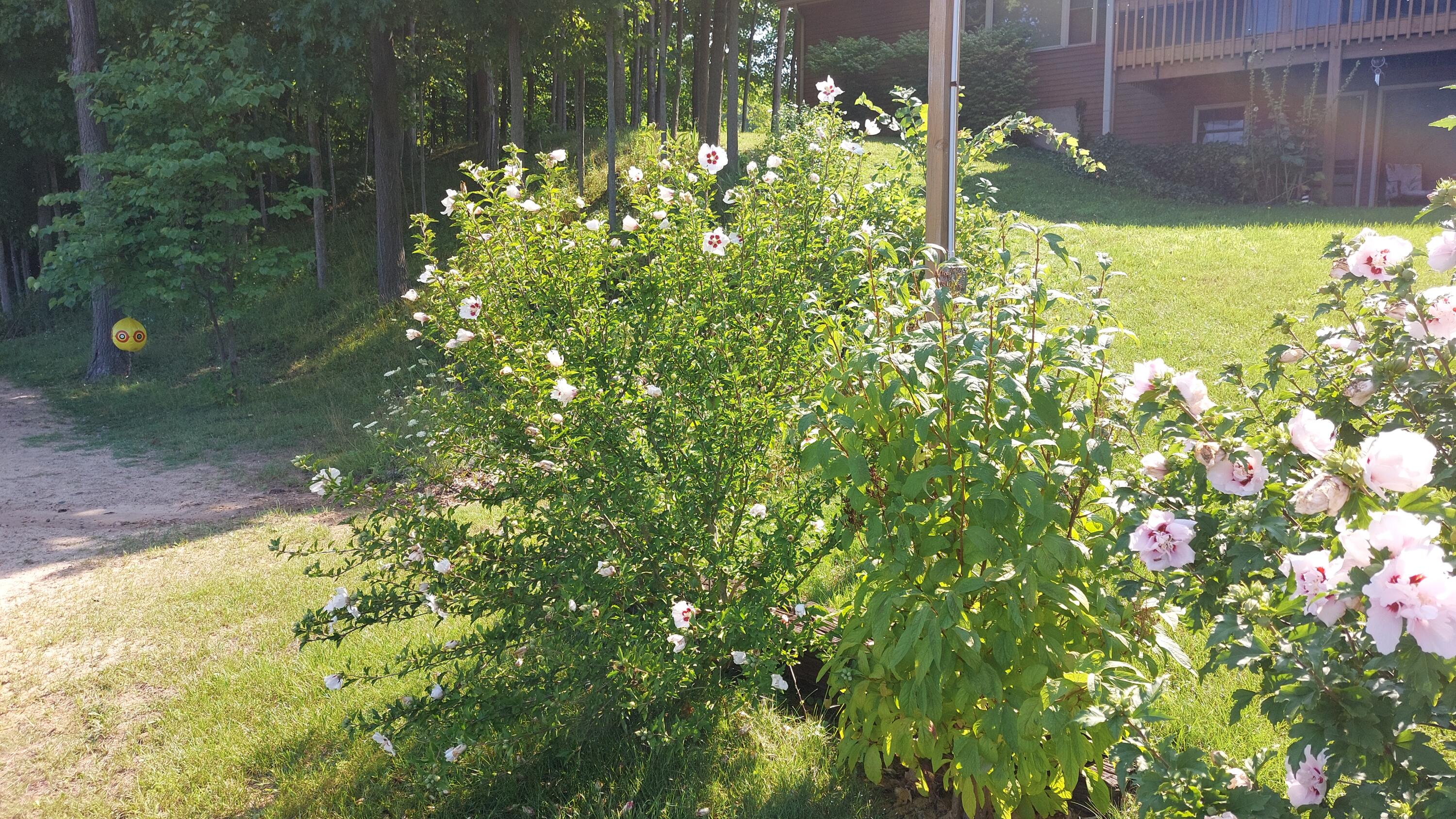 58560 Indian Lake Road Dowagiac, MI 49047 - Photo 115 of 129 20230808_111605