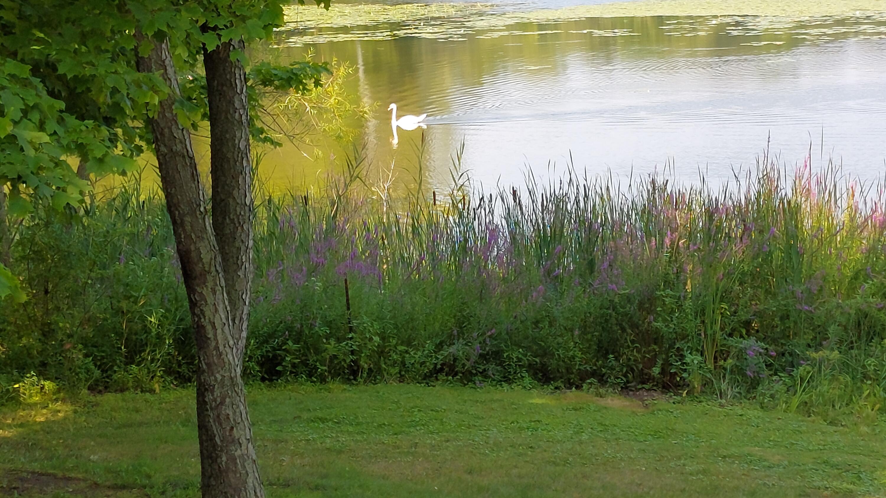 58560 Indian Lake Road Dowagiac, MI 49047 - Photo 122 of 129 20230808_113006