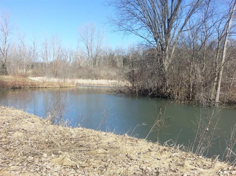 4521 Willis Road Milan, MI 48160 - Photo 1 of 10 Photo 1