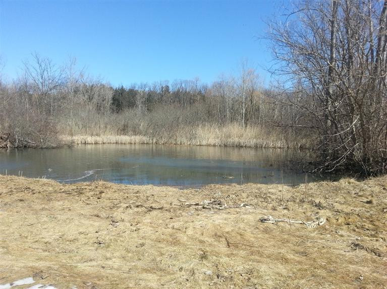 4521 Willis Road Milan, MI 48160 - Photo 3 of 10 Photo 3